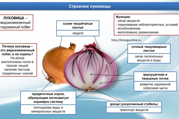Что такое кракен в даркнете