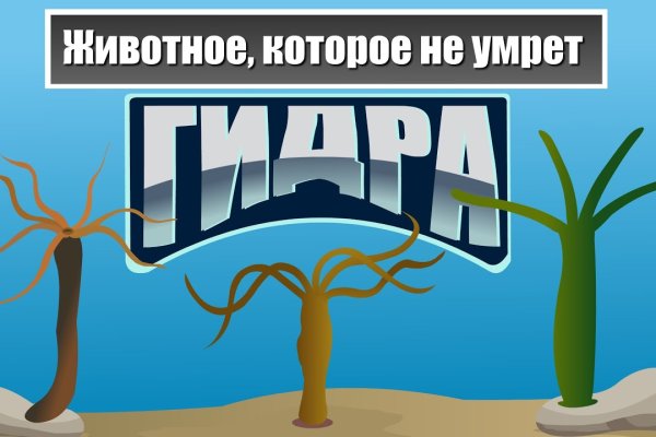 Активная ссылка на кракен