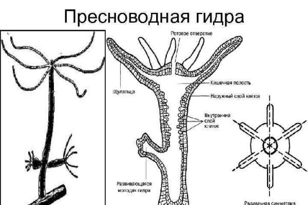 2krn cc кракен
