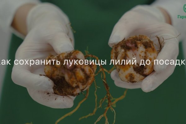 Маркетплейс кракен kraken