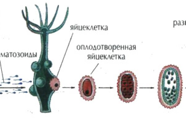 Кракен наркологический