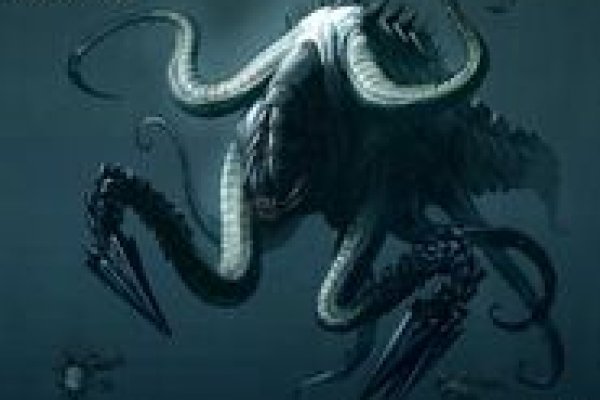 Kraken 24 at