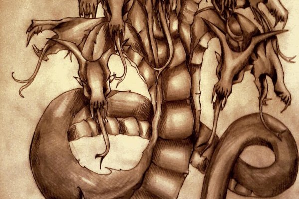 Kraken 19at