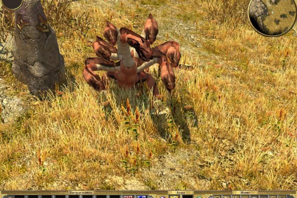 Kraken 12 at