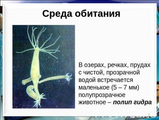 Кракен нарко