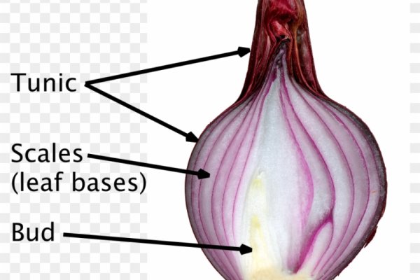 Kraken istand onion